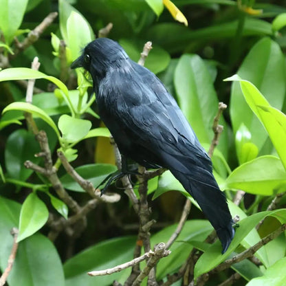 Halloween Decoracion Simulation Black Crow Raven Bird Repellent Pest Control Pigeon Repellent Event Party Bar Decoration Ease Works